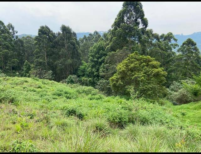 LAND FOR SALE IN MONTROSE